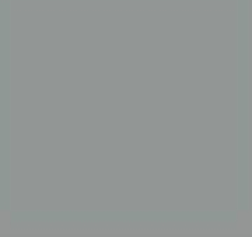Imagen de PINTURA GRIS MATE BOTE 1KG MANITOU