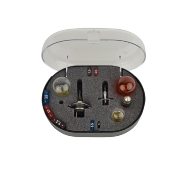 Imagen de CAJA DE BOMBILLAS MANITOU